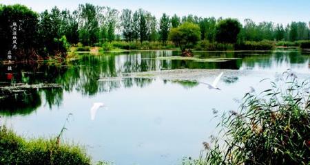 安徽:巢湖市湿地修复重现生态美景