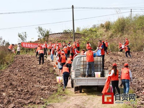 荣县50多名机关党员干部植下一地绿为党旗添一片彩
