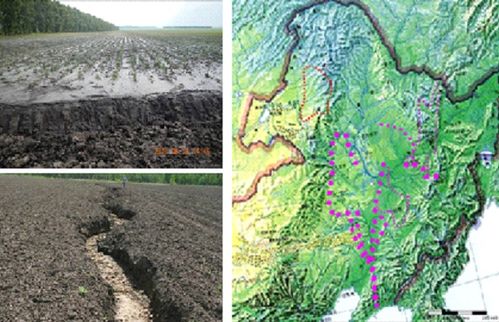 国家科技平台联合服务"东北黑土区水土流失综合治理"成效显著
