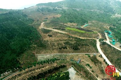 济南市自然资源和规划局大力推进废弃矿山生态修复 “开采疮疤”变田园美景